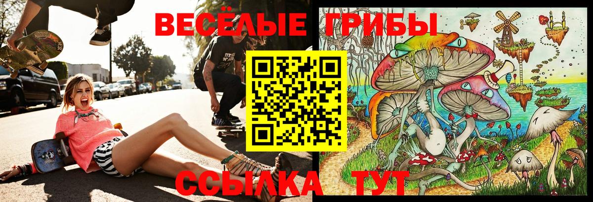 Галлюциногенные грибы Psilocybe  Вход с VPN  Зеленогорск  Галлюциногенные грибы мицелий 