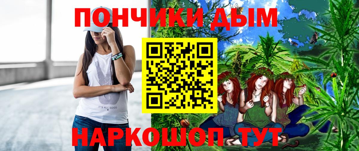 Зеленогорск  Бошки Шишки тримм  Вход с VPN  Марихуана SATIVA & INDICA 